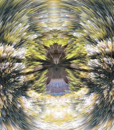 something / ***