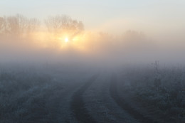 The October freeze / ***