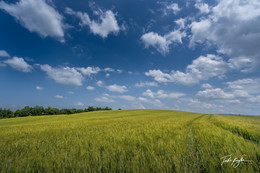  / ... irgendwo in einer der schönsten Landschaften auf der Welt