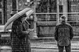 Rain / ***