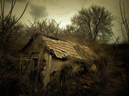 Lodge / .......