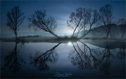 Baumspiegelung / Abends am Rattenberger Teich in der Steiermark.