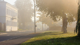 im Herbstnebel / ***