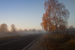 road in the fog / ***