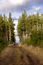 The road to heaven ... / ***