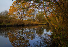 Autumn / ***