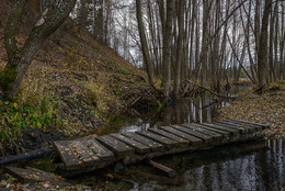 Brücke / ***