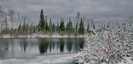 Forest Lake / ***