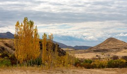 Autumn / ***