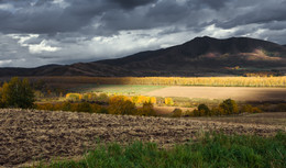 Herbst / ***