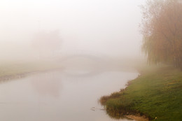 Morgennebel / ***