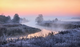 frosty morning / ***