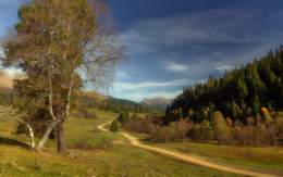 Roads of the Fall / ***