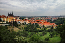 Prague / ***