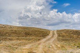 The road to heaven / ...