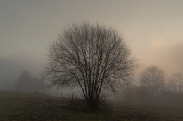 Autumn. Daybreak. / ***