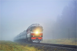 Through the mist / Nikon D610