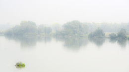 Sommer-Nebel / ***