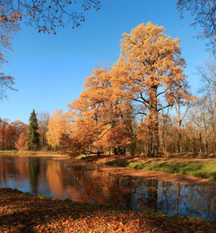 in October / ***