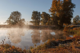 Herbst / ***
