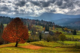 Herbst bonfire / [img]https://i.imgur.com/VuELfla.jpg[/img]
[img]https://i.imgur.com/GUM3A4f.jpg[/img]
[img]https://i.imgur.com/9CVxPtz.jpg[/img]
[img]https://i.imgur.com/H8Iddf9.jpg[/img]
