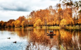 Autumn / ***