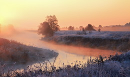 Foggy morning / ***