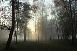Pashkevich68 / Pashkevich68