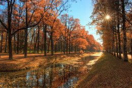 Herbst / ***