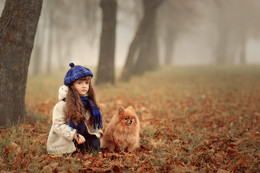 Misty autumn / ***