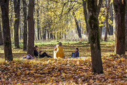 Im Herbst Park / ***