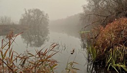 Misty Herbst / ***