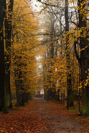 Leaving Herbst ... / ----