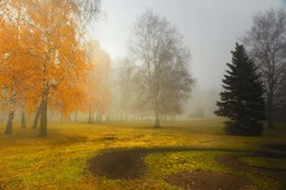 Am Morgen / ***