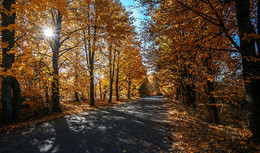 Herbst / ***