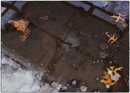 &nbsp; / [img]https://i.imgur.com/byFjZG1.jpg[/img]

[img]https://i.imgur.com/9hmjuPU.jpg[/img]