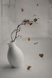 &nbsp; / ......................