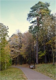The first snow / ***