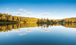 Reflection / ***