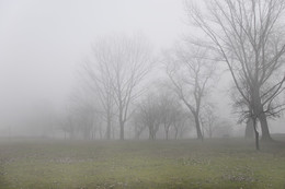 Nebliger Morgen / ***