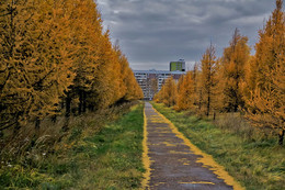Herbstfarben der Natur. / ***
