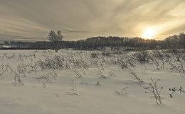 Feld / ***