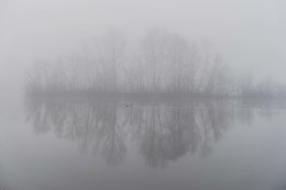 Morgen / ***
