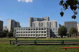 School / ***