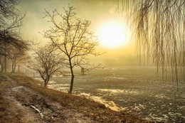 Nebel und Sonne / ***
