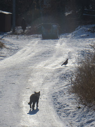 &nbsp; / [img]https://pp.userapi.com/c851332/v851332774/4ea7d/sH5OC2UQOcA.jpg[/img]

[img]https://pp.userapi.com/c851332/v851332774/4ea74/zrKpfnduMZQ.jpg[/img]