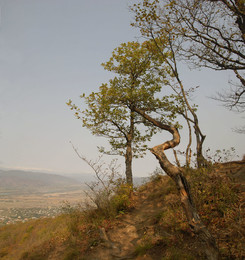 Autumn in the mountains / ***