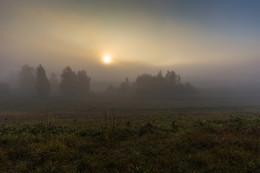 Morgennebel / ***