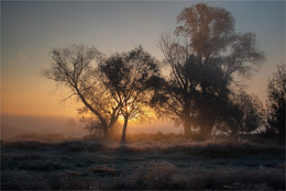 Dawn ... / ***
