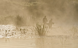The early bird catches ... / ***